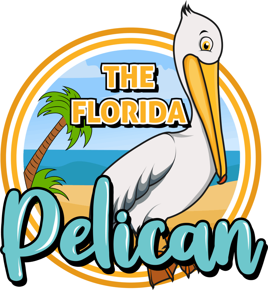The Florida Pelican