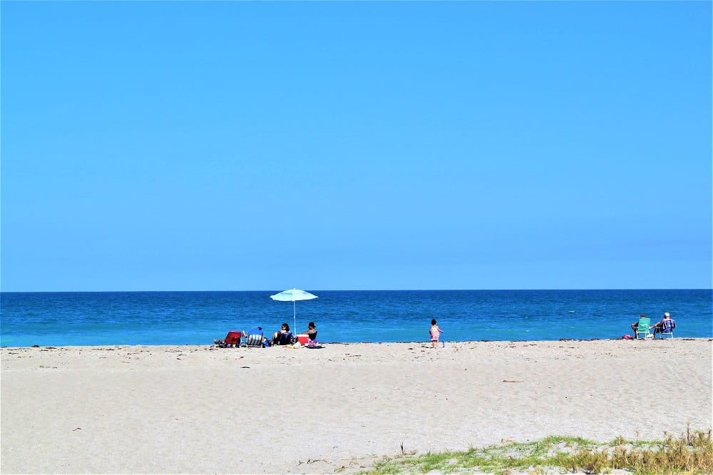 Things To Do In Vero Beach The Florida Pelican